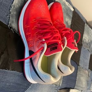 Nike zoom Pegasus 33